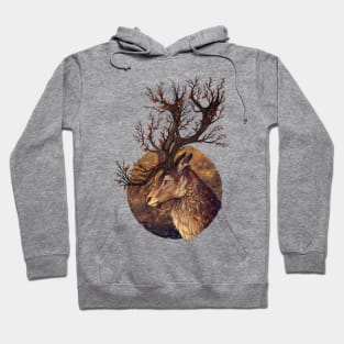 Autumn Embers Hoodie